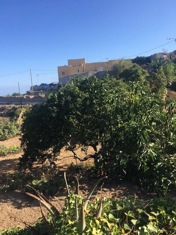 Green Village. Tony Frías. Fasnia Buitenkant foto